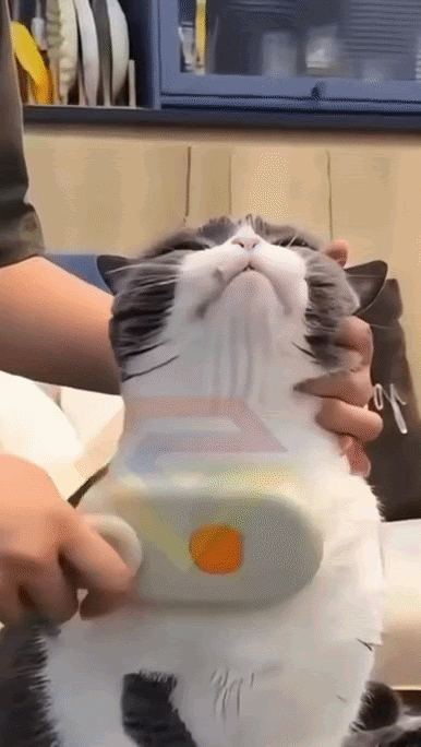 VaporPet™ – Cepillo de Vapor 3 en 1 (Masaje, Limpieza y Quita Pelo)